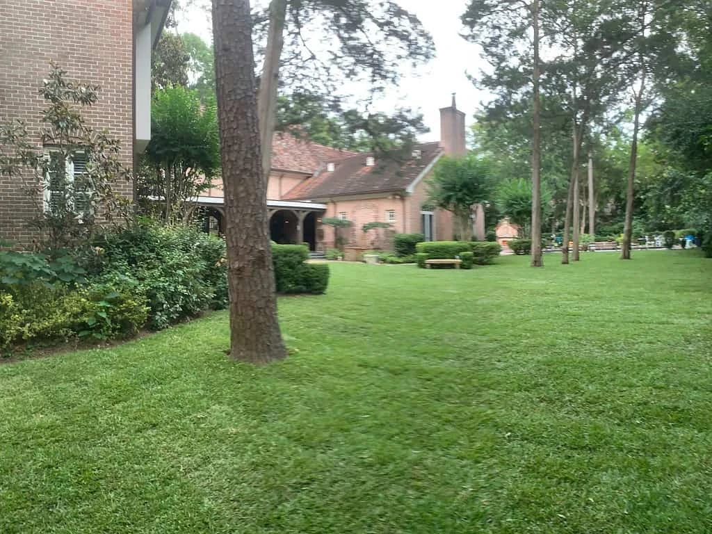 Residential turf in Tomball